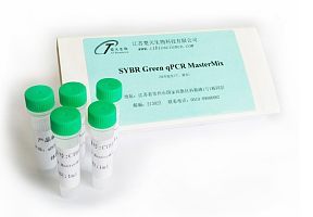 SYBR Green qPCR MasterMix（荧光定量PCR专用）