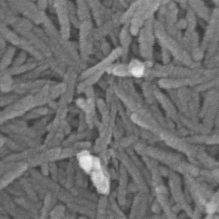 伽马氧化铝纳米纤维