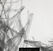 氧化钛-B纳米管