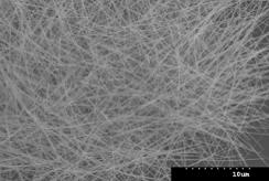 高品质银纳米线 直径40 nm