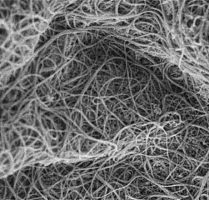 高纯氨基化单壁碳纳米管(长)