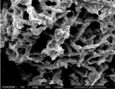 包镍多壁碳纳米管 30-50 nm