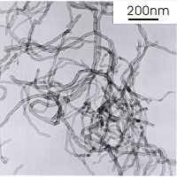 羟基化多壁碳纳米管(短) >50 nm
