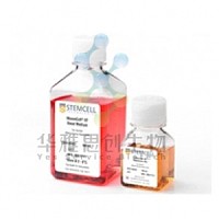 Stemcell 05420 MesenCult™-XF Medium 间充质干细胞无血清培养基