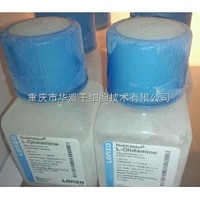 L-Glutamine, L-谷氨酰胺, 200 mM, 50mL 英文名称：L-Glutamine