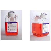 Lonza MycoAlert™ 广谱支原体检测试剂盒 100T/盒