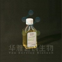 Cygnus I028 Sample Diluent Buffer 样品稀释液 1000mL