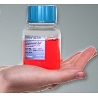 CellGro GMP级干细胞无血清培养基 CellGenix GMP Serum-free SCGM Xeno-free 扩增NK细胞 20802-0500