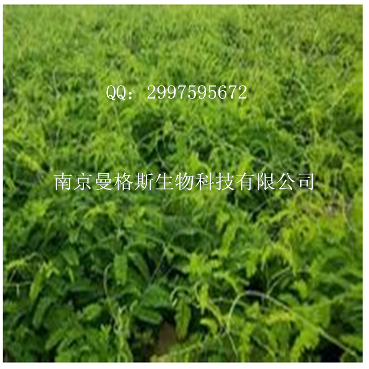 南京曼格斯二氢杨梅素27200-12-0厂家价格