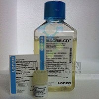 Lonza MSC GM-CD™ 00190632 BulletKit 间充质干细胞培养基