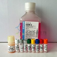 Lonza EGM-2 BulletKit 内皮细胞培养基，CC-3162 套装（CC-3156&CC-4176）