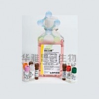 Lonza BEGM BulletKit 支气管上皮细胞培养基，套装(CC-3171&CC-4175)