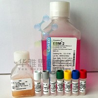 Lonza EGM-2-MV BulletKit 内皮细胞培养基，套装(CC-3156&CC-4147)