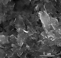 小片径少层二硫化钼分散液 浓度0.1 mg/mL