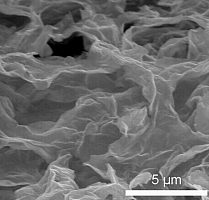 少层二硫化钨分散液 浓度0.1 mg/mL