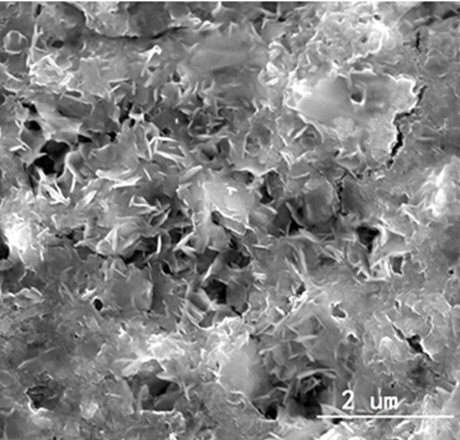 小片径少层二硫化钨粉末