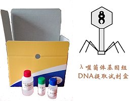 λ噬菌体基因组DNA提取试剂盒（柱型）