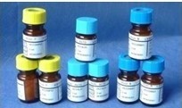 BCIP/NBT (碱性磷酸酶Western Blot显色试剂盒)