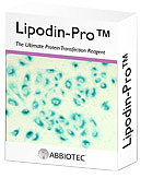 Lipodin-Pro™ - The Ultimate Protein Transfection Reagent