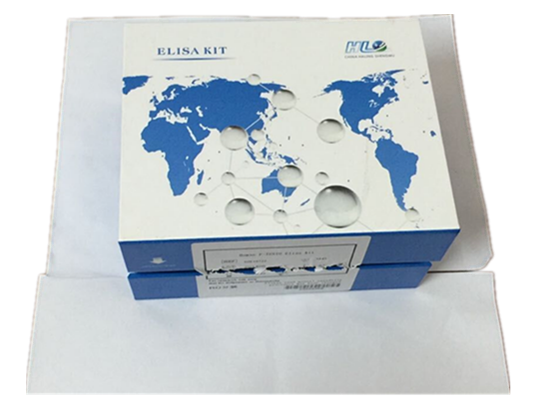 小鼠GFP(绿色荧光蛋白）ELISA试剂盒说明书