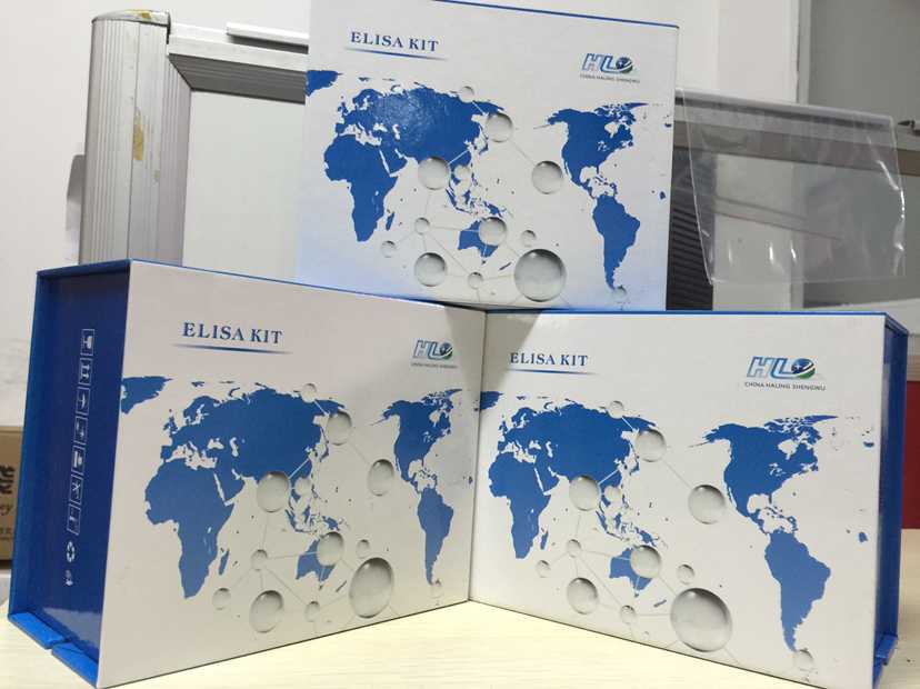 兔8-异构前列腺素(8-epi-PGF2α)ELISA试剂盒说明书产品图