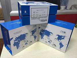 兔过氧化物酶体增殖因子活化受体γ(PPAR-γ)ELISA试剂盒说明书