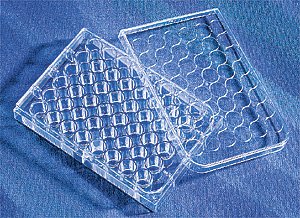 实验耗材 48孔细胞培养板[Costar 3548] 1块/包,100块/箱
