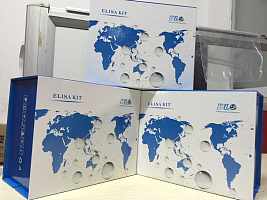 人微量蛋白(mALB)酶联免疫试剂盒