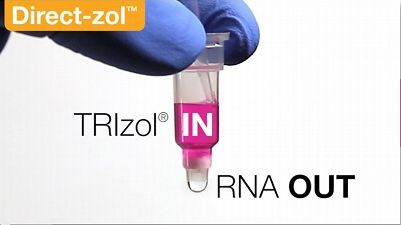 总RNA提取技术服务（含microRNA)