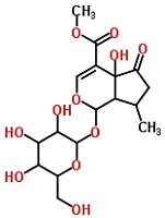 5-羟基马鞭草苷 