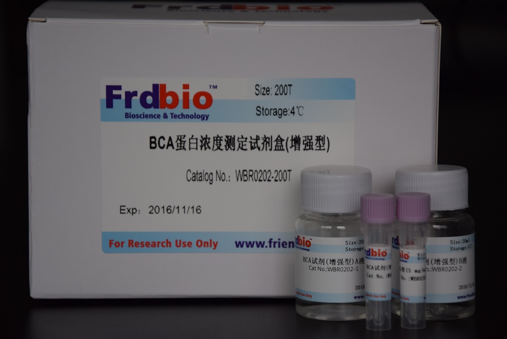 BCA蛋白浓度测定试剂盒(增强型)