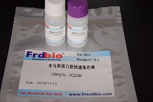 考马斯蛋白胶快速染色液