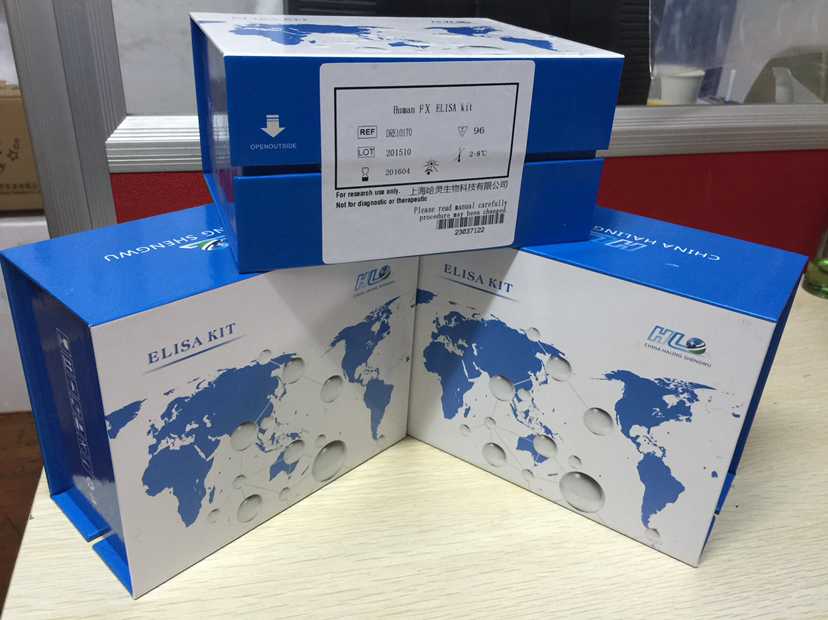 人巨噬细胞炎性蛋白3β(MIP-3β/ELC/CCL19)酶联免疫试剂盒产品图
