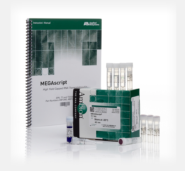 MEGAscript® T7 Kit 