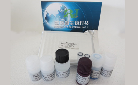 人可溶性转铁蛋白受体(sTfR)ELISA检测试剂盒