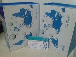 人卵清蛋白特异性IgG(OVA sIgG)酶联免疫试剂盒