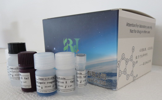 人军团菌抗体IgG(LP Ab-IgG)ELISA检测试剂盒