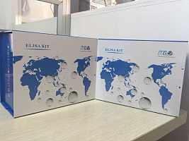 大鼠可溶性凋亡相关因子(sFAS/Apo-1)酶联免疫试剂盒