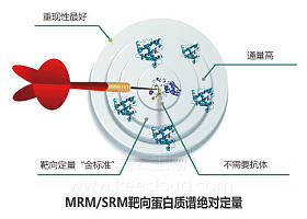 MRM/SRM（生物质谱多反应监测）| 靶向蛋白绝对定量技术服务