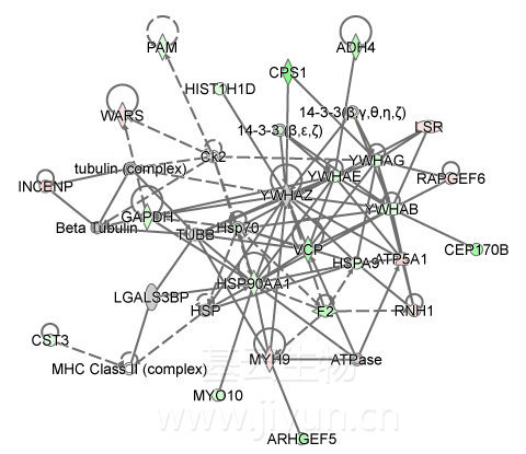 免疫共沉淀原理及服务（Co-IP-MS）