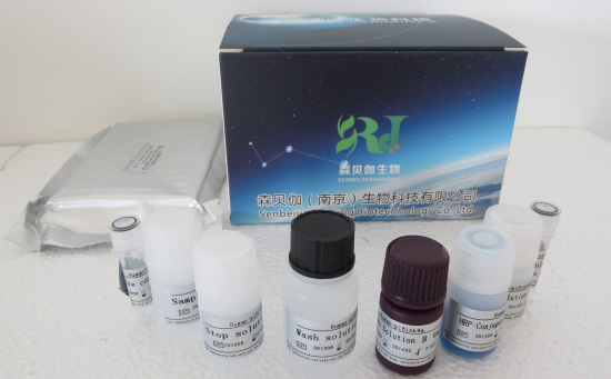 人P物质受体(SP-R)ELISA检测试剂盒
