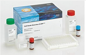 Dig-RNA labeling kit