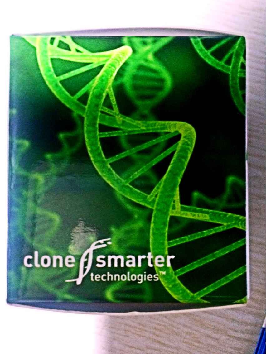 CloneSmarter TOPO Omni载体克隆试剂盒（amp，既适用于平末端，又适用于末端加A片段克隆）