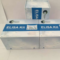 人白介素3(IL-3)ELISA试剂盒
