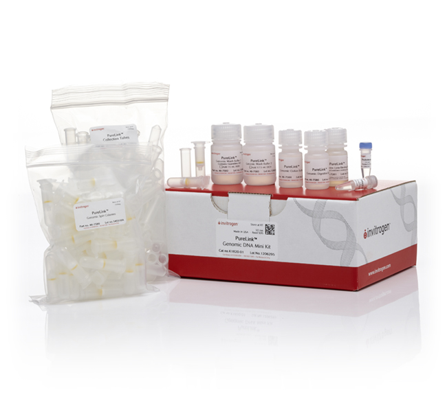 PureLink® Genomic DNA Mini Kit