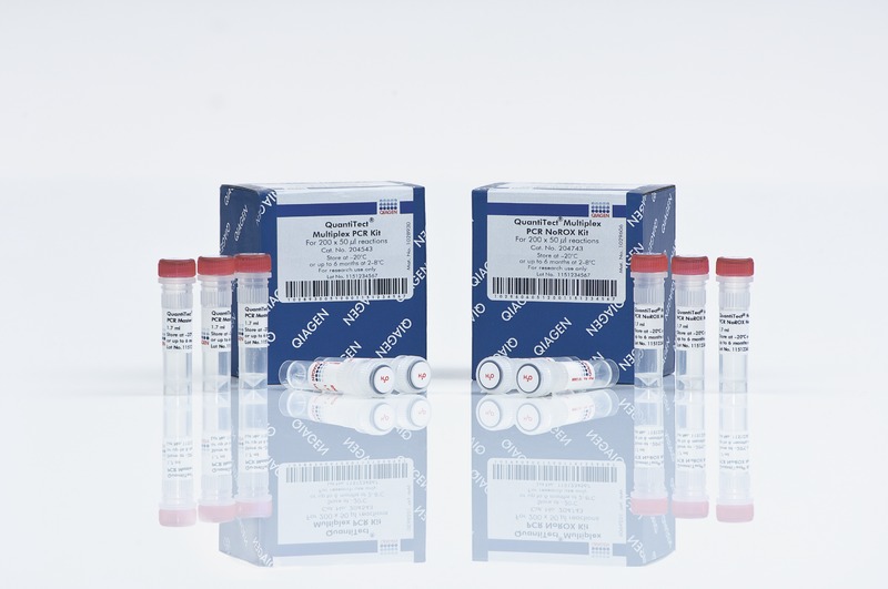 QuantiTect Multiplex PCR Kits