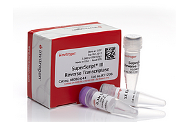 2-氯-4-甲氧基嘧啶