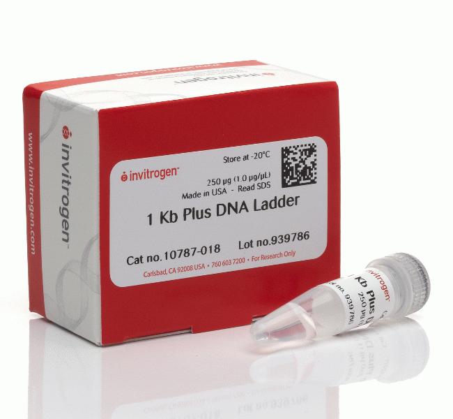 1 Kb Plus DNA Ladder  This product, and/or its packaging, incorporates one or more environmental/green features. Click on this icon to learn more