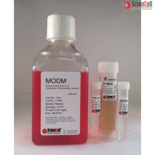 间充质干细胞-成骨细胞分化培养基  MODM   