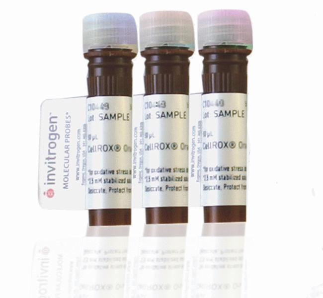 CellROX® Reagent Variety Pack, for oxidative stress detection